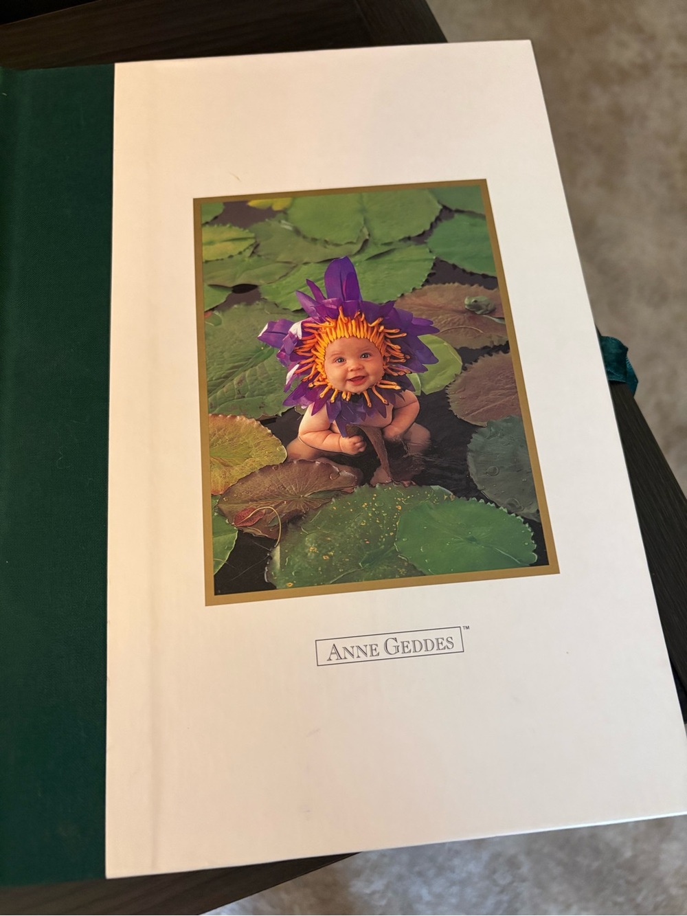 Anne Geddes Baby Photo Album